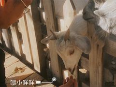 -鄂尔多斯野生动物园