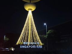 -新加坡摩天观景轮
