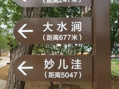 -阳台山自然风景区