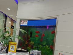 -雅悦齿科(顾村公园店)