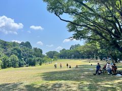 -新加坡总统府