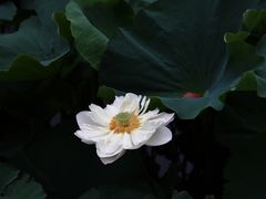 -重元寺