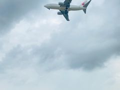 -空港花田景区