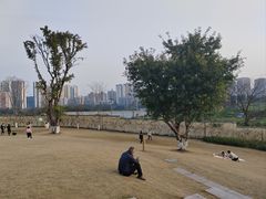 -重庆平顶山公园