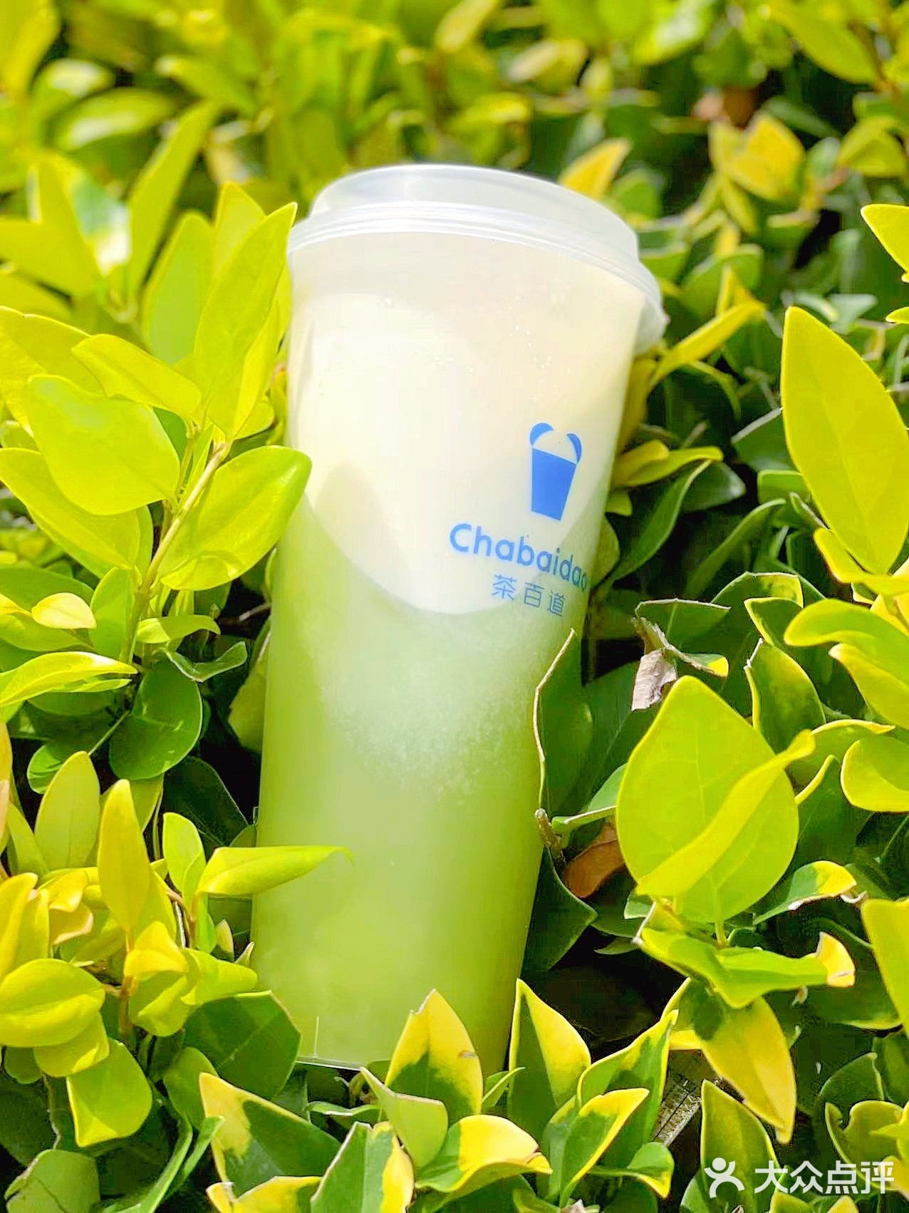 茶百道 | 阳光玫瑰青提，收获一份生机