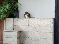 -光舍(香榭里花园店)