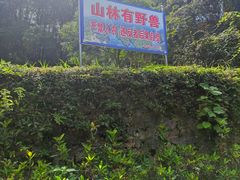 -素山寺森林公园