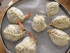 -小叶大馅饺子城