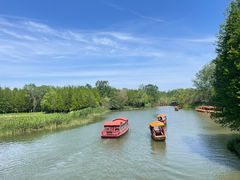 -溱湖国家湿地公园