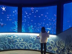 -沈阳海洋探索中心