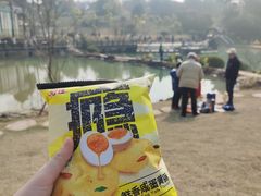 -铁山坪森林公园