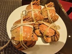 -上海锦江汤臣洲际大酒店壹阶层