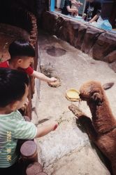 点击看大图 -宝燕乐园(闵行旗舰店)