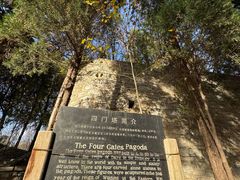 -四门塔风景区