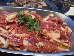 -杨记齐齐哈尔烤肉(总店)