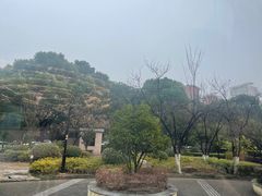 -颂福楼·南京菜(定淮门店)