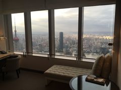 -上海柏悦酒店