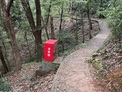 -上海佘山国家森林公园天马山园