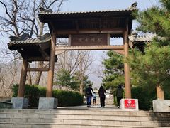 -阳台山自然风景区