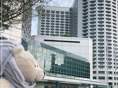 -新加坡瑞士史丹福酒店