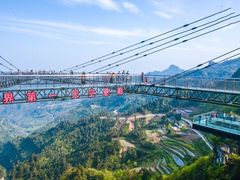 -梦幻奥陶纪景区