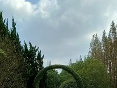 -东平国家森林公园