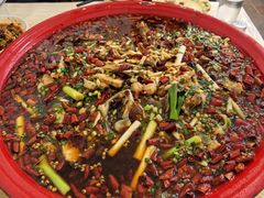 -东吴霸王兔(松青路店)
