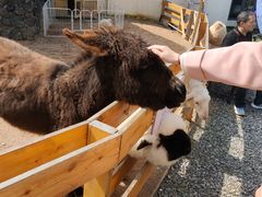 -HERRE·FARM 赫尔露营农场·团建聚会包场