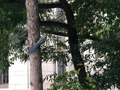 -黑龙江中医药大学