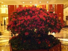 -咖啡苑自助餐厅·中国大饭店