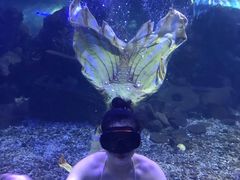 -重庆欢乐海底世界