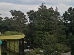 -三鹰之森吉卜力美术馆