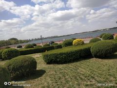 -丁香湖公园