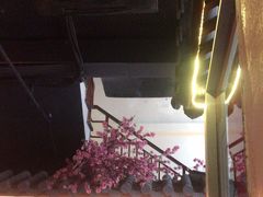 -探花·意境江南菜·唐伯虎文化体验店·松鼠桂鱼(观前店)