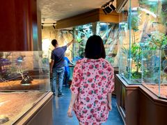 -帕帕拉兹宠物(亚洲旗舰店)