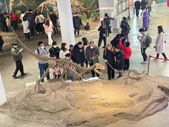 -自贡恐龙博物馆