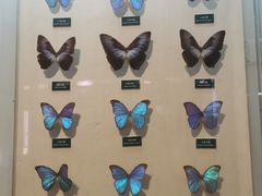 -陕西自然博物馆