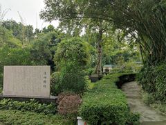 -晓港公园