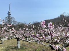 -今鲜源大酒店·中华餐饮名店(新湛路店)
