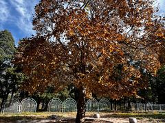 -国家植物园南园