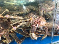 -清水湾3号(东方小周海鲜店)