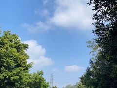 -深圳仙湖植物园