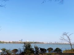-无锡蠡湖国家湿地公园-蠡园