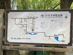 -洛阳白马寺