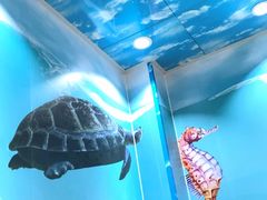 -小海豚•老字号海鲜餐厅(天涯店)