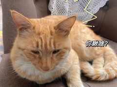 -Vanillacafe香草咖啡(银海大世界店)