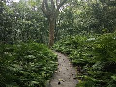 -广州市帽峰山景区