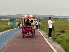 -敕勒川草原