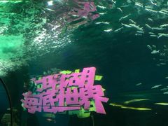 -大明湖海底世界