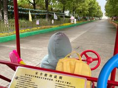 -上海都市菜园